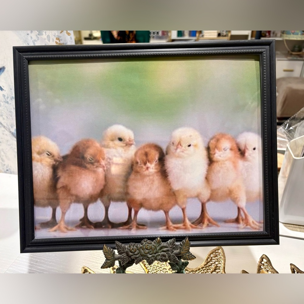 Framed 8x10 Baby Chicks Wall Art